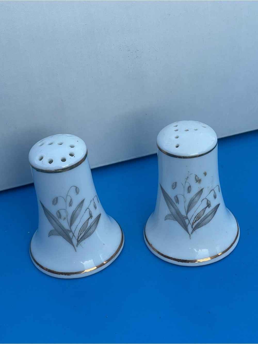 Cottagecore Porcelain White Salt & Pepper Shakers with Floral Motif & gold trim